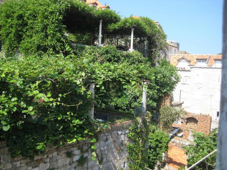 Design Studio - Old Town Dubrovnik Exterior photo